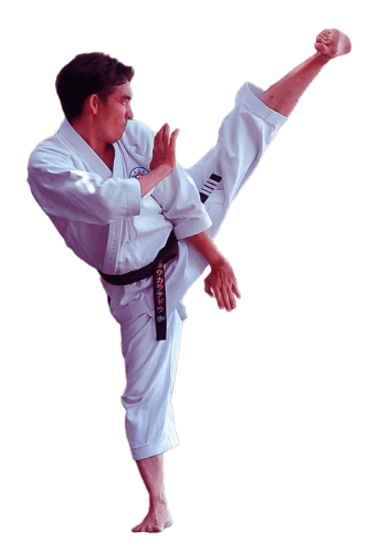 martial-arts-school-cta-bg 1 - Big Boss Sports Center 大老闆運動中心